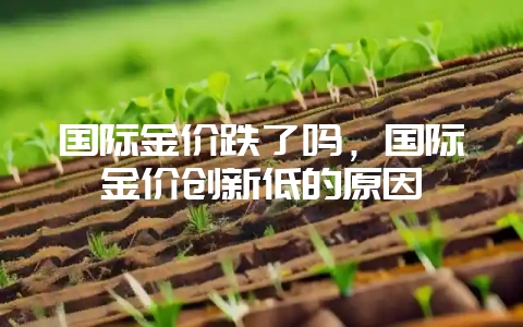 国际金价跌了吗，国际金价创新低的原因-会东网