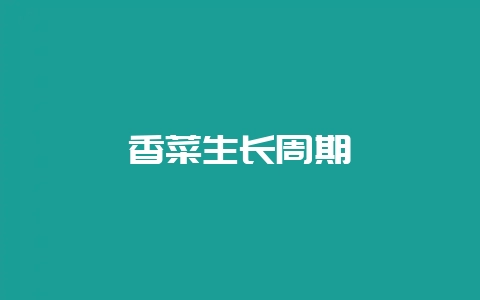 香菜生长周期-会东网