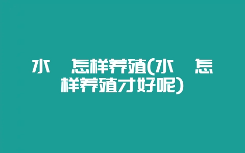水蛭怎样养殖(水蛭怎样养殖才好呢)-会东网