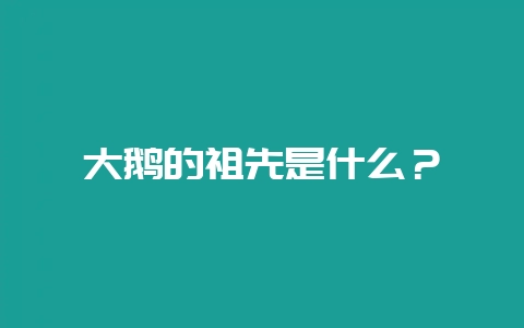 大鹅的祖先是什么？-会东网