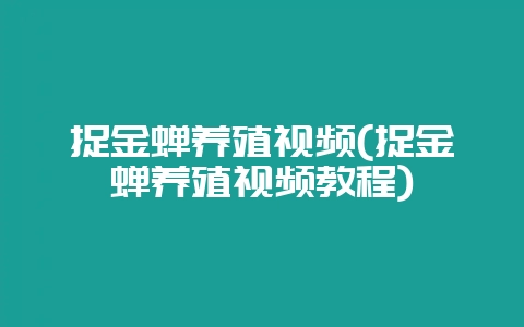 捉金蝉养殖视频(捉金蝉养殖视频教程)-会东网