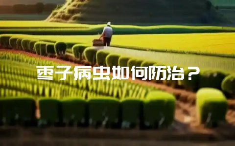枣子病虫如何防治？-会东网