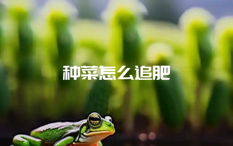 种菜怎么追肥-会东网