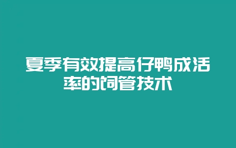 夏季有效提高仔鸭成活率的饲管技术-会东网