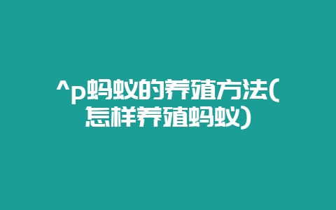 ^p蚂蚁的养殖方法(怎样养殖蚂蚁)-会东网