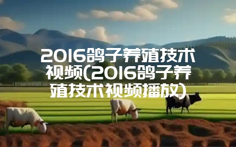 2016鸽子养殖技术视频(2016鸽子养殖技术视频播放)-会东网