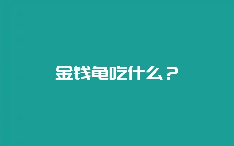 金钱龟吃什么？-会东网