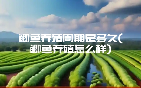 鲫鱼养殖周期是多久(鲫鱼养殖怎么样)-会东网