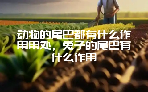 动物的尾巴都有什么作用用处，兔子的尾巴有什么作用-会东网