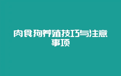 肉食狗养殖技巧与注意事项-会东网