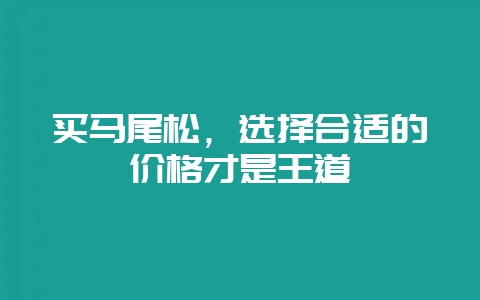买马尾松，选择合适的价格才是王道-会东网