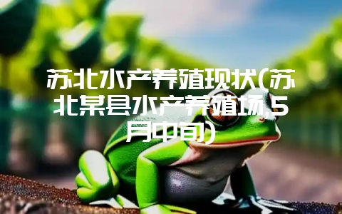 苏北水产养殖现状(苏北某县水产养殖场,5月中旬)-会东网