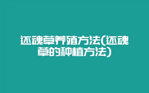 还魂草养殖方法(还魂草的种植方法)-会东网