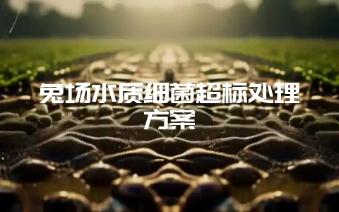 兔场水质细菌超标处理方案-会东网