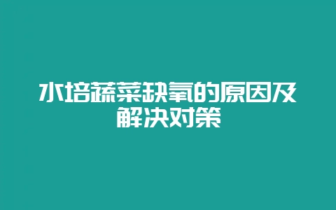 水培蔬菜缺氧的原因及解决对策-会东网