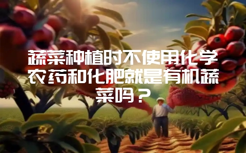 蔬菜种植时不使用化学农药和化肥就是有机蔬菜吗？-会东网