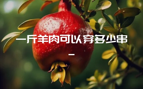 一斤羊肉可以穿多少串_-会东网