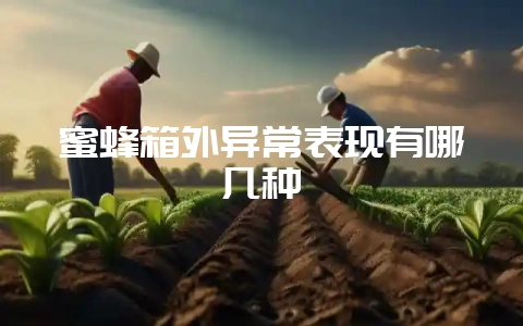 蜜蜂箱外异常表现有哪几种-会东网