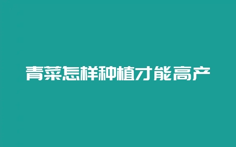 青菜怎样种植才能高产-会东网
