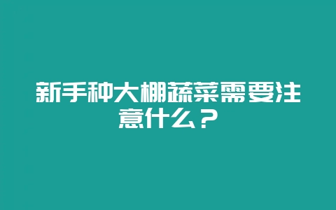 新手种大棚蔬菜需要注意什么?-会东网