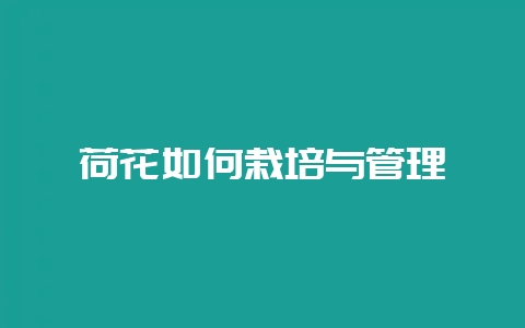 荷花如何栽培与管理-会东网