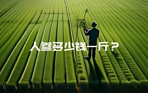 人参多少钱一斤？-会东网