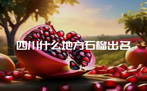 四川什么地方石榴出名插图 四川什么地方石榴出名插图