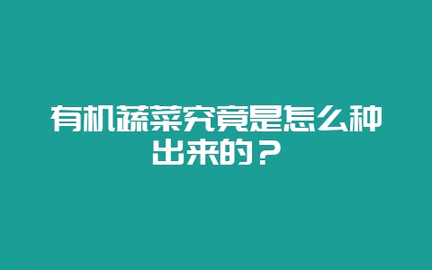 有机蔬菜究竟是怎么种出来的？-会东网