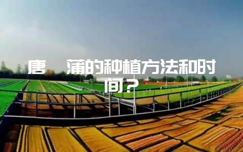 唐菖蒲的种植方法和时间?插图 唐菖蒲的种植方法和时间?插图