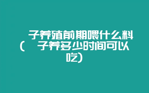 蛏子养殖前期喂什么料(蛏子养多少时间可以吃)-会东网