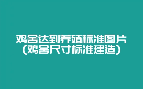 鸡舍达到养殖标准图片(鸡舍尺寸标准建造)-会东网