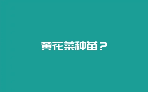 黄花菜种苗?插图 黄花菜种苗?插图