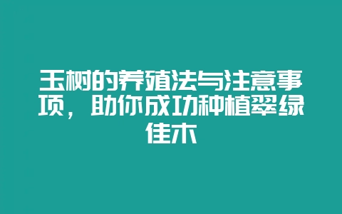 玉树的养殖法与注意事项，助你成功种植翠绿佳木-会东网