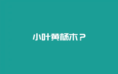 小叶黄杨木？-会东网
