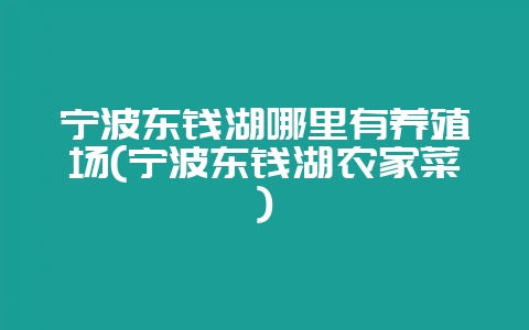 宁波东钱湖哪里有养殖场(宁波东钱湖农家菜)-会东网