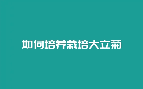 如何培养栽培大立菊-会东网