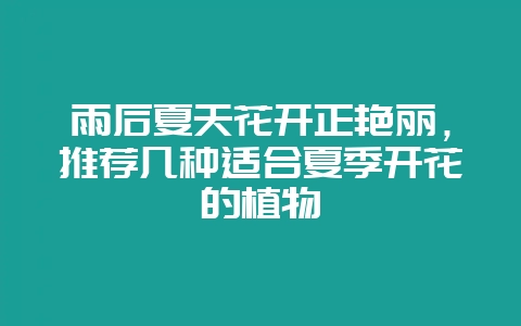 雨后夏天花开正艳丽，推荐几种适合夏季开花的植物-会东网