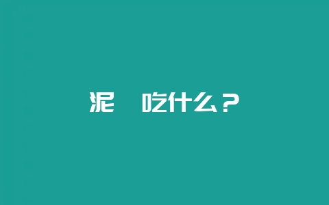 泥鳅吃什么？-会东网