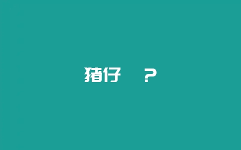 猪仔笠？-会东网