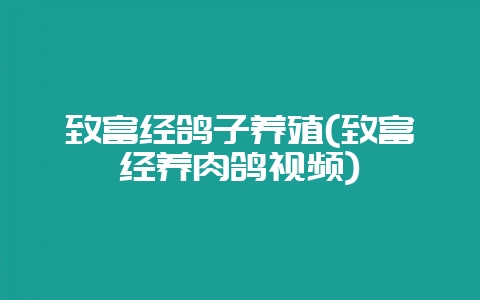 致富经鸽子养殖(致富经养肉鸽视频)-会东网