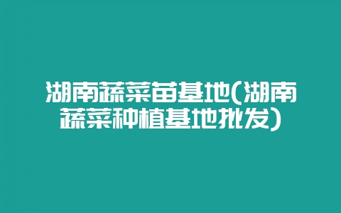 湖南蔬菜苗基地(湖南蔬菜种植基地批发)-会东网