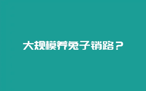 大规模养兔子销路？-会东网