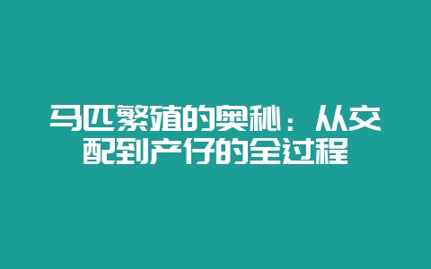 马匹繁殖的奥秘：从交配到产仔的全过程-会东网
