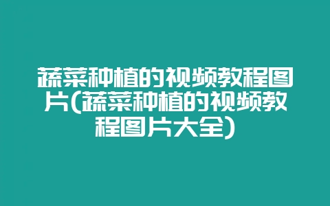 蔬菜种植的视频教程图片(蔬菜种植的视频教程图片大全)-会东网