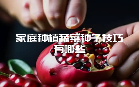 家庭种植蔬菜种子技巧有哪些-会东网