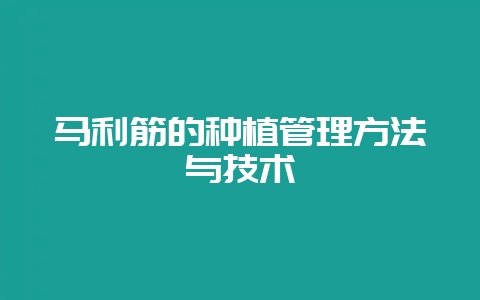 马利筋的种植管理方法与技术-会东网