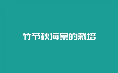 竹节秋海棠的栽培-会东网