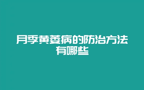 月季黄萎病的防治方法有哪些-会东网