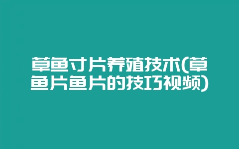 草鱼寸片养殖技术(草鱼片鱼片的技巧视频)-会东网
