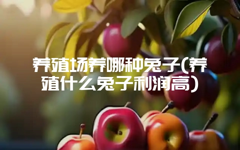 养殖场养哪种兔子(养殖什么兔子利润高)-会东网